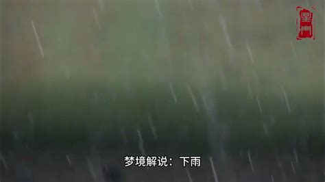 夢見大風大雨|解夢夢見下雨代表了什麼